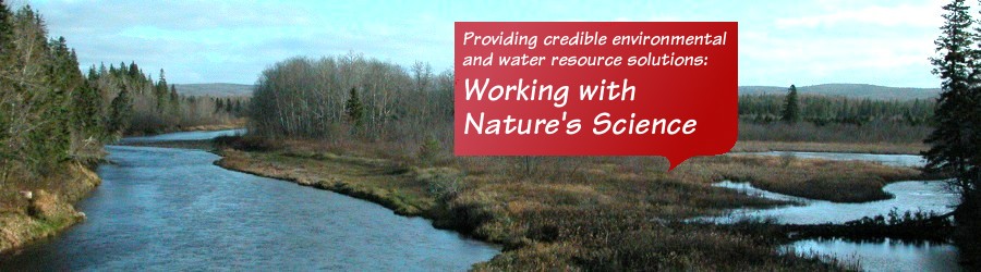 Providing credible water resource solutions: Working with Nature's Science